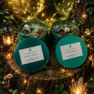 Bougie Forêt Enchantée