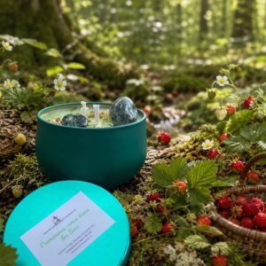 Promenons-nous dans les Bois