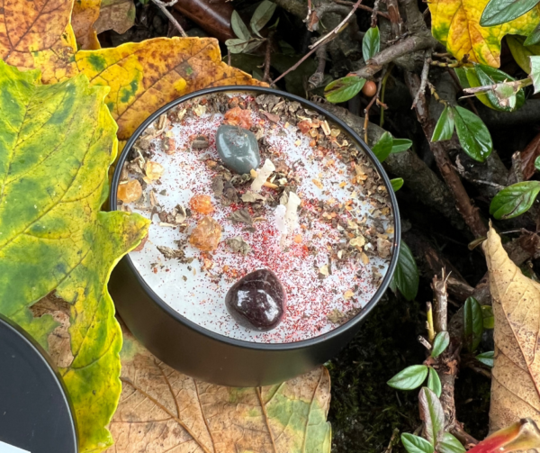 Astro Scorpion – Image 4