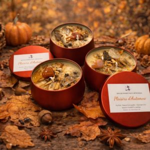 Plaisirs d'Automne