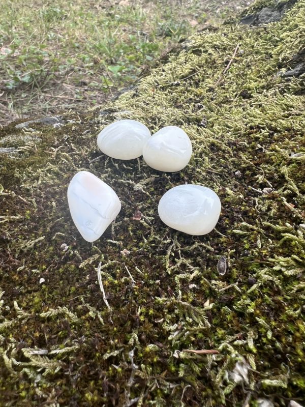 Agate Blanche – Image 2