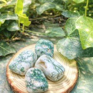 Agate Arbre