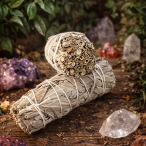 Bâtonnet Sauge Blanche