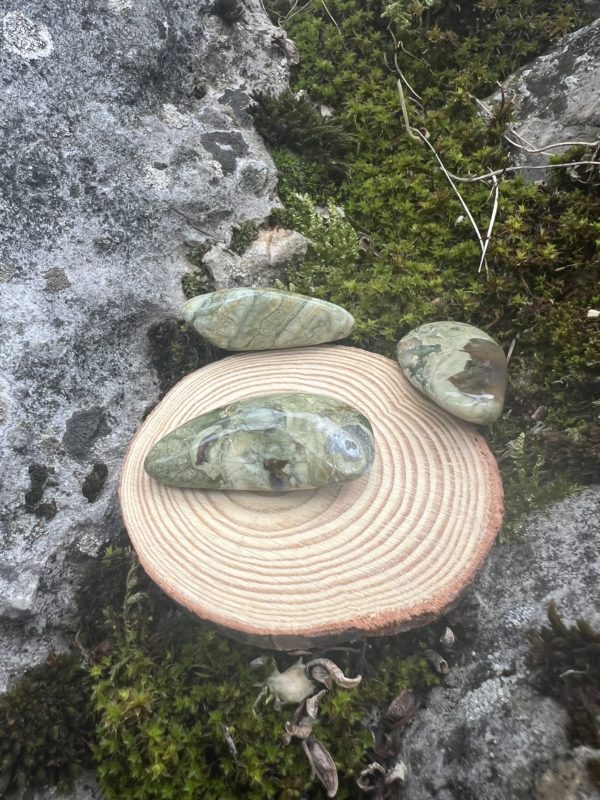 Jaspe Forêt Tropicale – Image 3