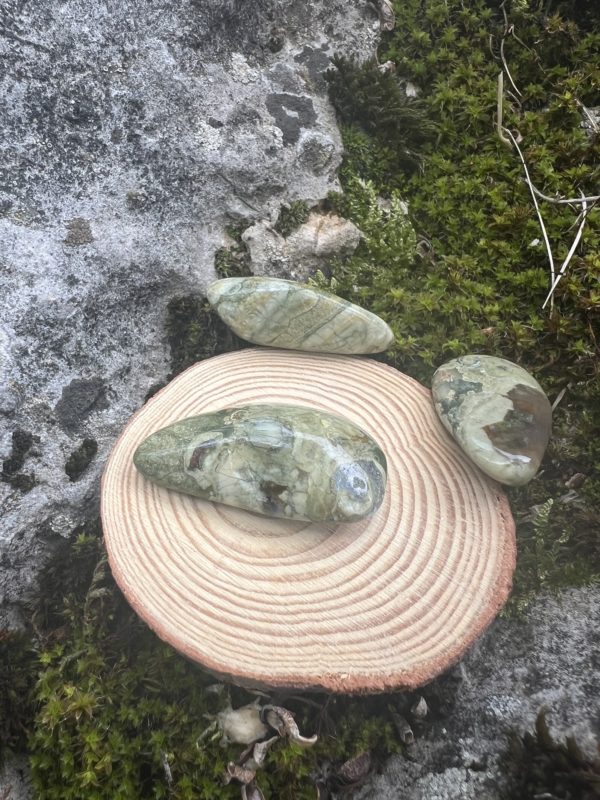 Jaspe Forêt Tropicale