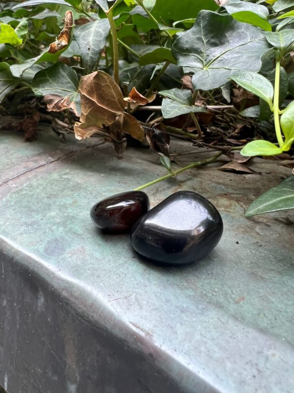 Onyx Noire – Image 2