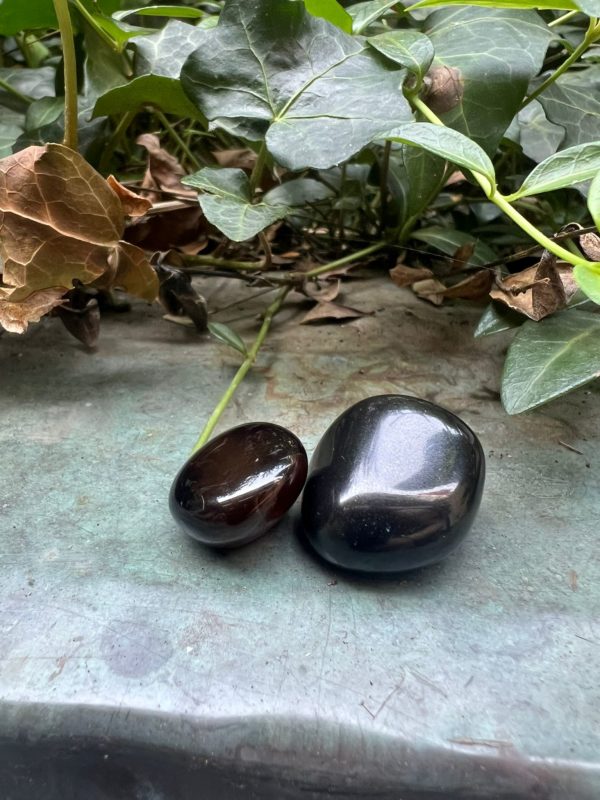 Onyx Noire – Image 3