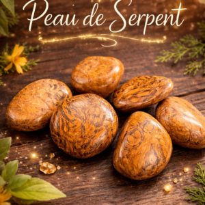 Jaspe Peau de Serpent
